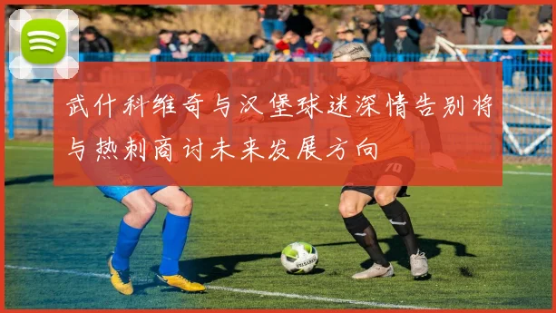 武什科维奇与汉堡球迷深情告别将与热刺商讨未来发展方向
