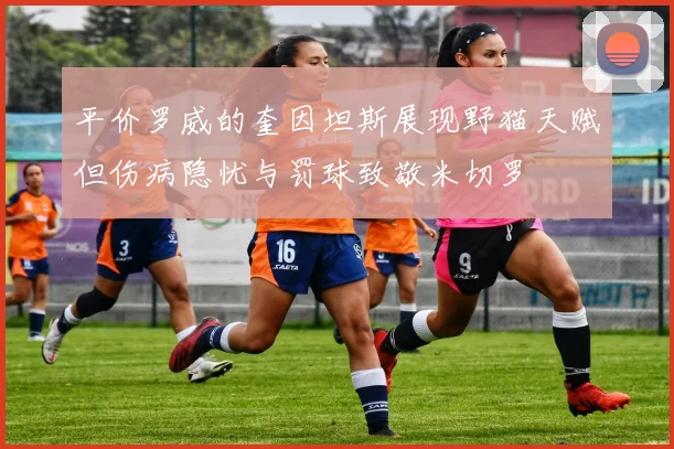 平价罗威的奎因坦斯展现野猫天赋但伤病隐忧与罚球致敬米切罗